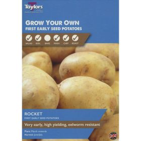 Rocket Seed Potatoes Taster Pack of 10